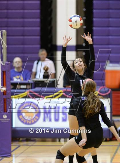 Thumbnail 2 in Wheeling @ Rolling Meadows photogallery.