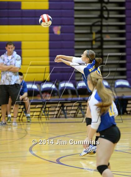 Thumbnail 1 in Wheeling @ Rolling Meadows photogallery.
