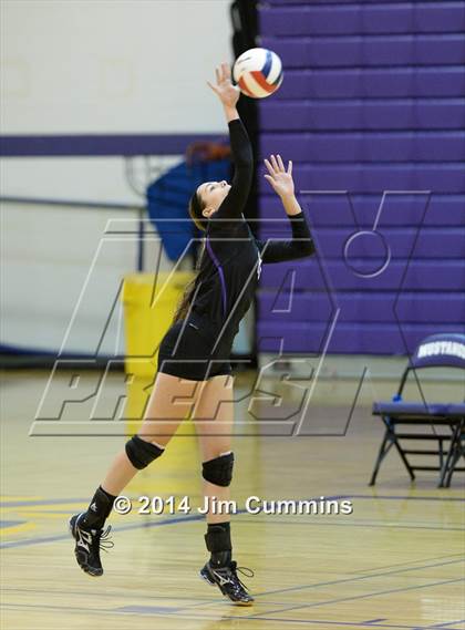 Thumbnail 2 in Wheeling @ Rolling Meadows photogallery.