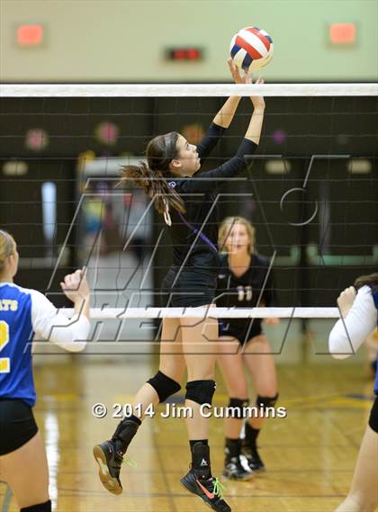 Thumbnail 1 in Wheeling @ Rolling Meadows photogallery.