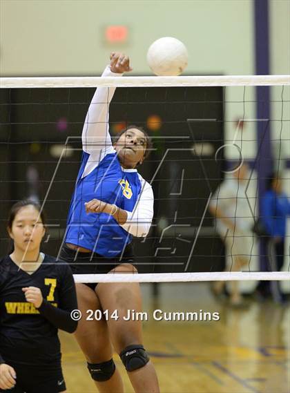 Thumbnail 2 in Wheeling @ Rolling Meadows photogallery.