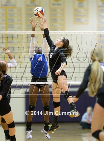 Thumbnail 1 in Wheeling @ Rolling Meadows photogallery.