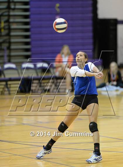 Thumbnail 1 in Wheeling @ Rolling Meadows photogallery.