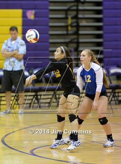 Thumbnail 1 in Wheeling @ Rolling Meadows photogallery.