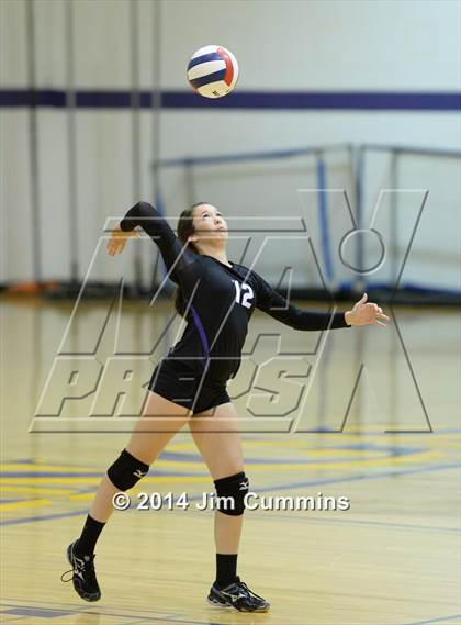Thumbnail 2 in Wheeling @ Rolling Meadows photogallery.