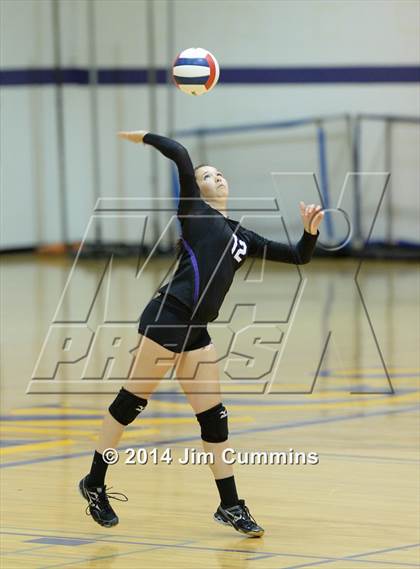 Thumbnail 1 in Wheeling @ Rolling Meadows photogallery.