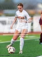 Photo from the gallery "Mead @ Windsor"