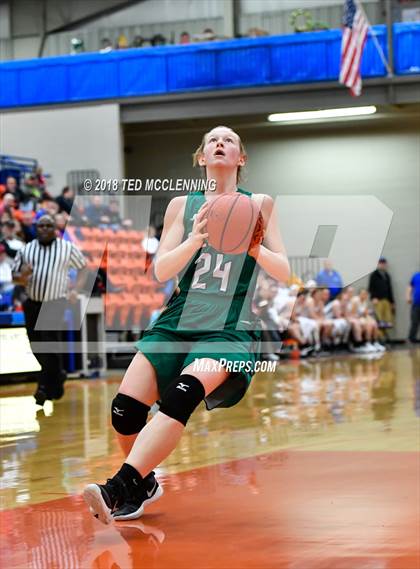 Thumbnail 2 in Lamar vs. Greenland (AAA 3A Regional Playoff) photogallery.