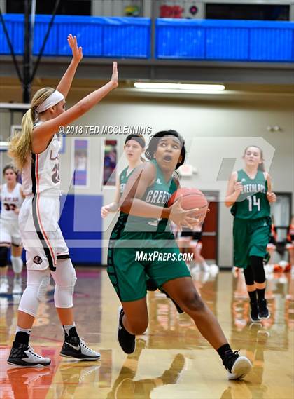 Thumbnail 1 in Lamar vs. Greenland (AAA 3A Regional Playoff) photogallery.