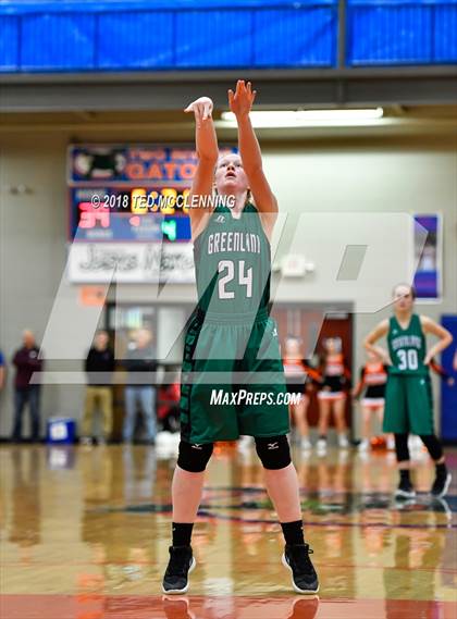 Thumbnail 3 in Lamar vs. Greenland (AAA 3A Regional Playoff) photogallery.