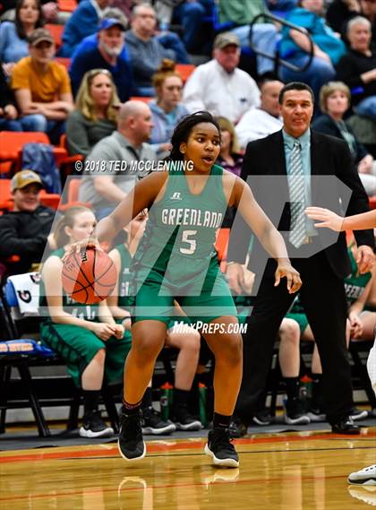 Thumbnail 2 in Lamar vs. Greenland (AAA 3A Regional Playoff) photogallery.