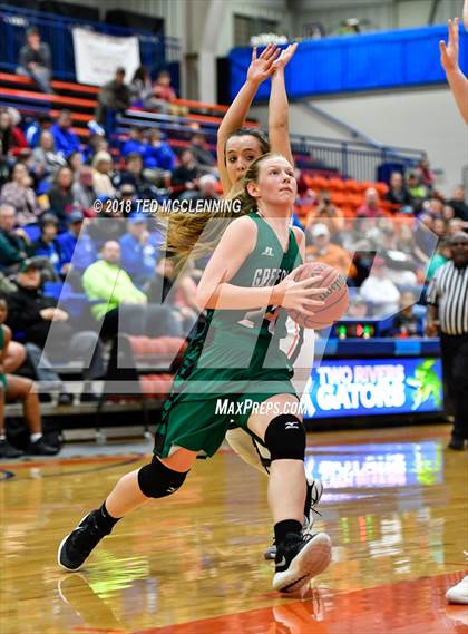 Thumbnail 3 in Lamar vs. Greenland (AAA 3A Regional Playoff) photogallery.