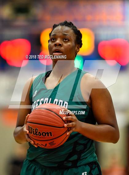 Thumbnail 2 in Lamar vs. Greenland (AAA 3A Regional Playoff) photogallery.