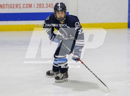 Thumbnail 1 in Wilton @ Stamford/Westhill photogallery.