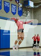 Photo from the gallery "Bishop Diego @ Laguna Blanca"