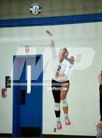 Photo from the gallery "Bishop Diego @ Laguna Blanca"