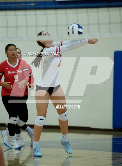Thumbnail 3 in Bishop Diego @ Laguna Blanca photogallery.