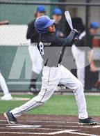 Photo from the gallery "Brockport @ Greece Athena"