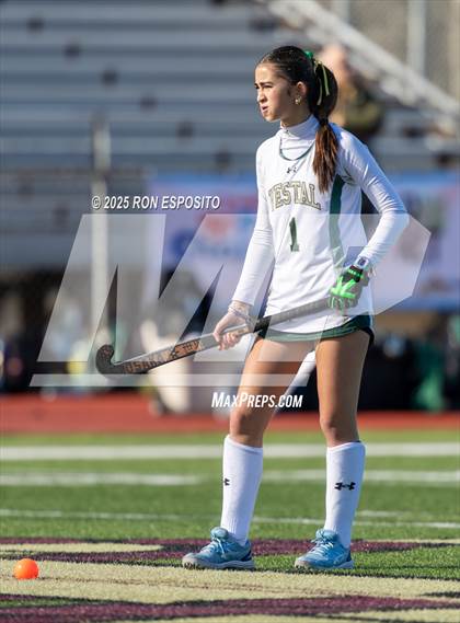 Thumbnail 1 in Vestal vs Burnt Hills-Ballston Lake (NYSPHSAA Class B Finals) photogallery.