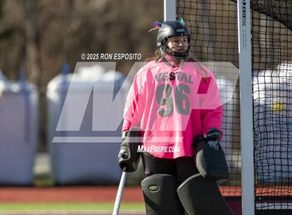 Thumbnail 1 in Vestal vs Burnt Hills-Ballston Lake (NYSPHSAA Class B Finals) photogallery.