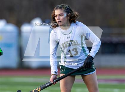 Thumbnail 1 in Vestal vs Burnt Hills-Ballston Lake (NYSPHSAA Class B Finals) photogallery.