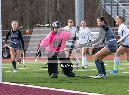 Thumbnail 1 in Vestal vs Burnt Hills-Ballston Lake (NYSPHSAA Class B Finals) photogallery.