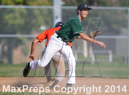 Thumbnail 2 in Polytechnic vs. Providence (CIF SS Playoffs) photogallery.