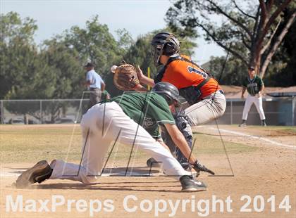 Thumbnail 1 in Polytechnic vs. Providence (CIF SS Playoffs) photogallery.