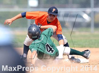 Thumbnail 2 in Polytechnic vs. Providence (CIF SS Playoffs) photogallery.