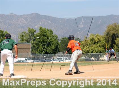 Thumbnail 2 in Polytechnic vs. Providence (CIF SS Playoffs) photogallery.