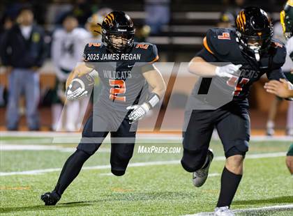 Thumbnail 1 in Capuchino @ Woodside photogallery.