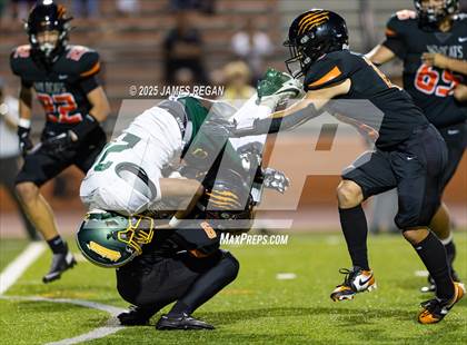 Thumbnail 2 in Capuchino @ Woodside photogallery.