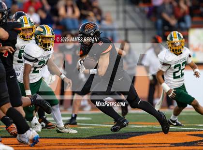 Thumbnail 3 in Capuchino @ Woodside photogallery.