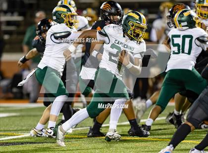 Thumbnail 1 in Capuchino @ Woodside photogallery.