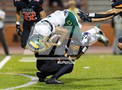 Thumbnail 1 in Capuchino @ Woodside photogallery.