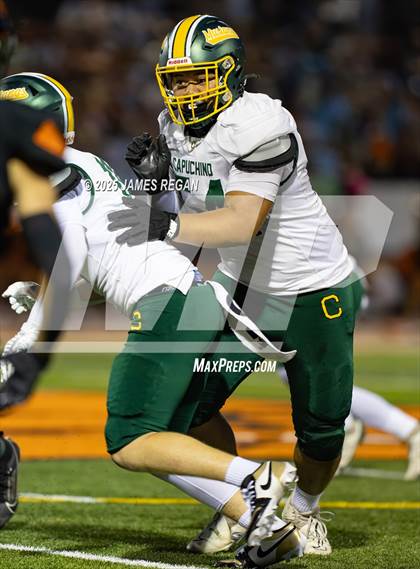 Thumbnail 2 in Capuchino @ Woodside photogallery.