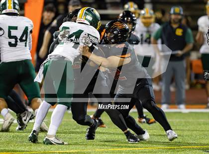 Thumbnail 3 in Capuchino @ Woodside photogallery.