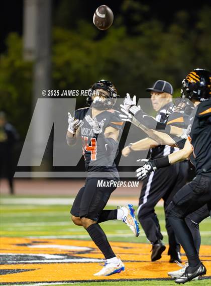 Thumbnail 2 in Capuchino @ Woodside photogallery.