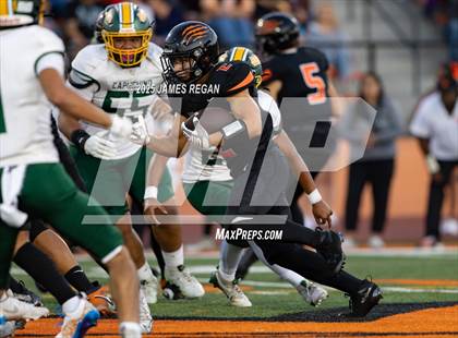 Thumbnail 1 in Capuchino @ Woodside photogallery.