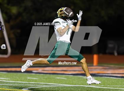 Thumbnail 2 in Capuchino @ Woodside photogallery.