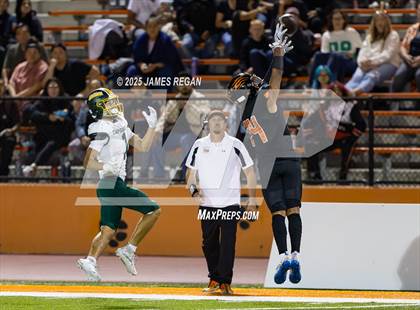 Thumbnail 1 in Capuchino @ Woodside photogallery.