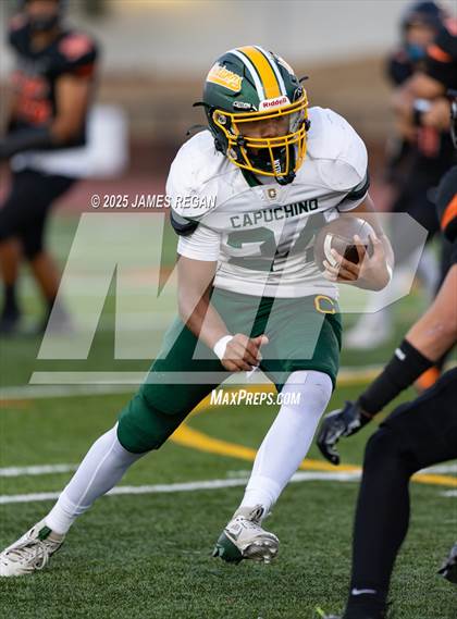 Thumbnail 2 in Capuchino @ Woodside photogallery.