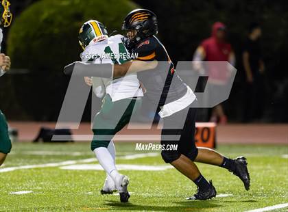 Thumbnail 1 in Capuchino @ Woodside photogallery.