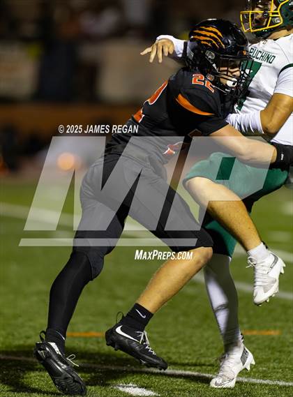 Thumbnail 1 in Capuchino @ Woodside photogallery.