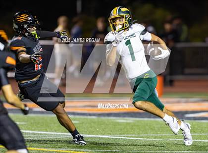 Thumbnail 1 in Capuchino @ Woodside photogallery.