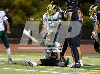 Thumbnail 3 in Capuchino @ Woodside photogallery.