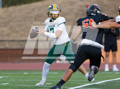 Thumbnail 3 in Capuchino @ Woodside photogallery.