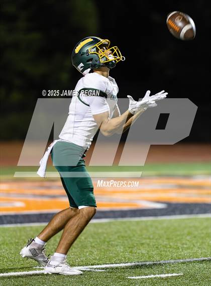 Thumbnail 2 in Capuchino @ Woodside photogallery.