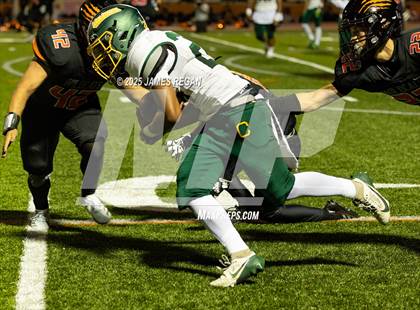 Thumbnail 3 in Capuchino @ Woodside photogallery.