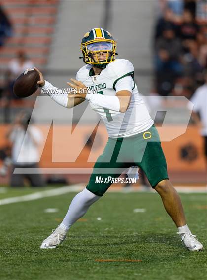 Thumbnail 2 in Capuchino @ Woodside photogallery.